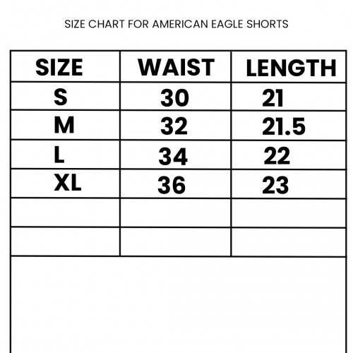 American Eagle Charcoal Shorts